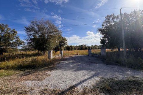 Immobilier commercial à Clewiston, Floride № 2079885