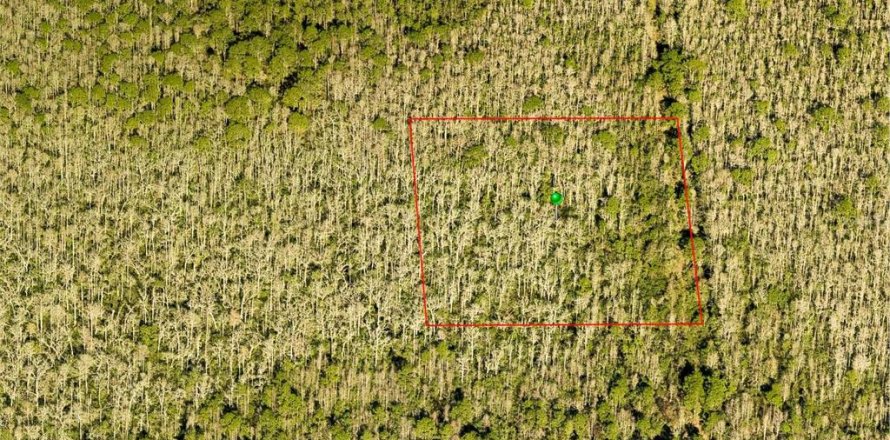 Terreno en DeLand, Florida № 1675208