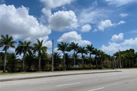 Immobilier commercial à Palm Springs, Floride № 2059370