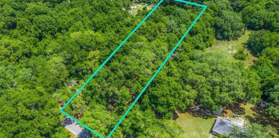 Land in Wildwood, Florida № 1778311