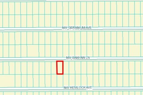 Land in Dunnellon, Florida № 2165237 - photo 2