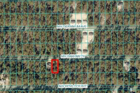 Land in Dunnellon, Florida № 2165237