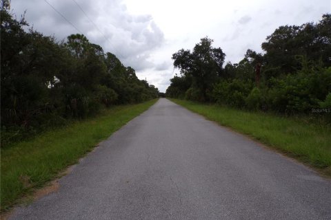 Land in Port Charlotte, Florida № 2224243 - photo 12