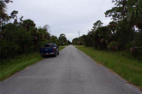 Land in Port Charlotte, Florida № 2224243 - photo 10