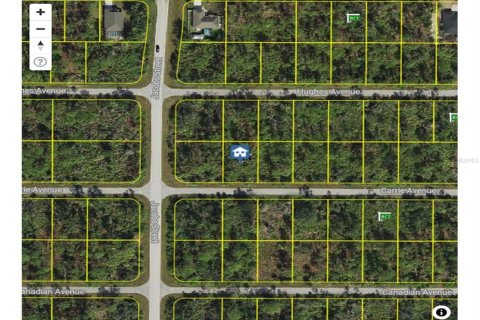 Land in Port Charlotte, Florida № 2224243 - photo 13