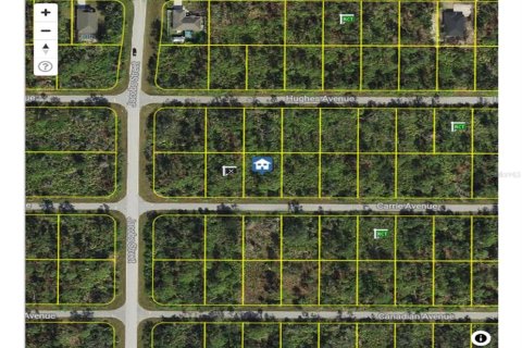 Land in Port Charlotte, Florida № 2224243 - photo 7