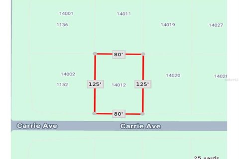 Land in Port Charlotte, Florida № 2224243 - photo 14