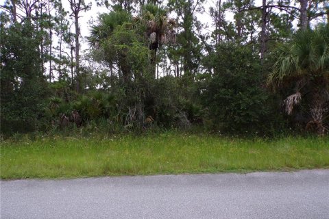 Land in Port Charlotte, Florida № 2224243 - photo 2