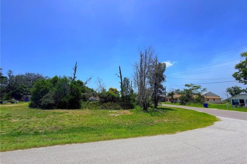 Land in Sebring, Florida № 2161327 - photo 3