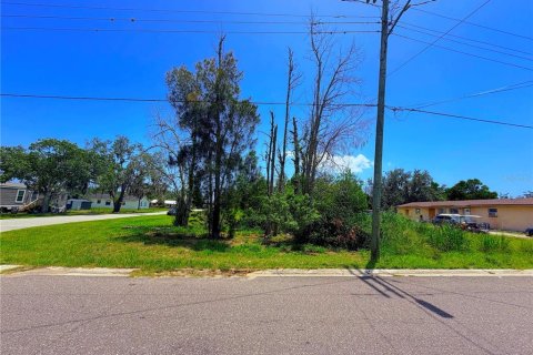 Land in Sebring, Florida № 2161327 - photo 4