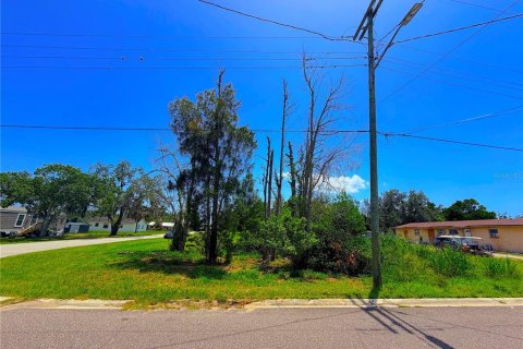 Land in Sebring, Florida № 2161327