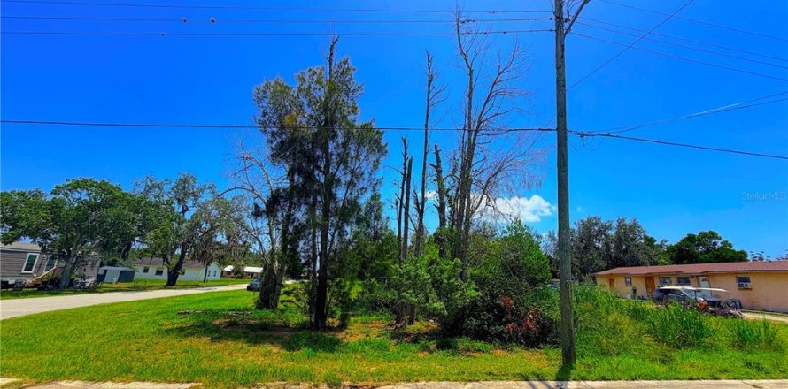 Land in Sebring, Florida № 2161327