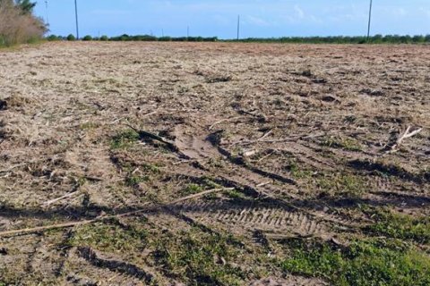 Land in Sebring, Florida № 2207935 - photo 2