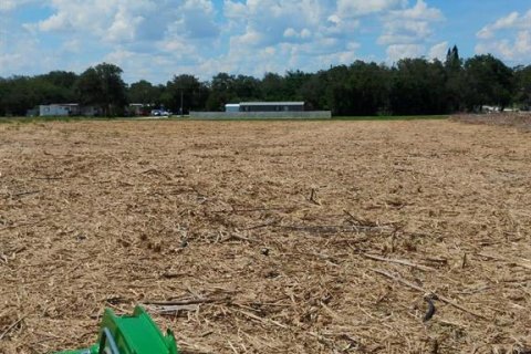 Land in Sebring, Florida № 2207935