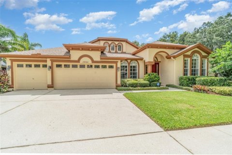 Villa ou maison à vendre à Fish Hawk, Floride: 5 chambres, 287.81 m2 № 1883633 - photo 2