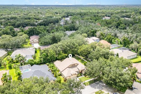Villa ou maison à vendre à Fish Hawk, Floride: 5 chambres, 287.81 m2 № 1883633 - photo 27