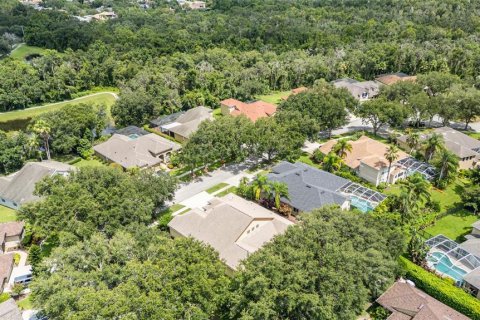 Villa ou maison à vendre à Fish Hawk, Floride: 5 chambres, 287.81 m2 № 1883633 - photo 30