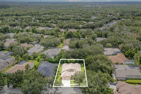 Villa ou maison à vendre à Fish Hawk, Floride: 5 chambres, 287.81 m2 № 1883633 - photo 29