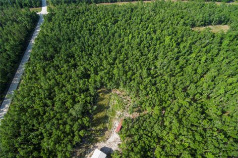 Terreno en venta en Live Oak, Florida № 2095602 - foto 3