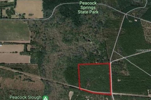 Terreno en venta en Live Oak, Florida № 2095602 - foto 7