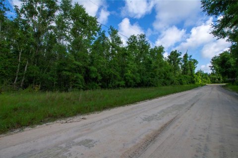 Terreno en venta en Live Oak, Florida № 2095602 - foto 9