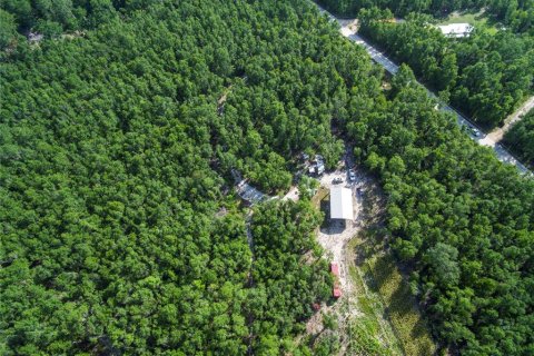 Terreno en venta en Live Oak, Florida № 2095602 - foto 6