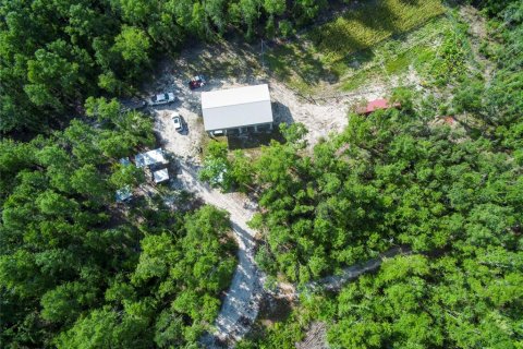 Terreno en Live Oak, Florida № 2095602