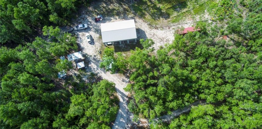 Terreno en Live Oak, Florida № 2095602