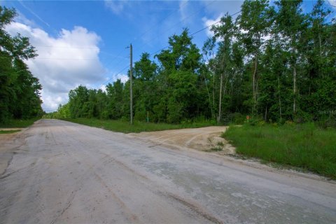 Terreno en venta en Live Oak, Florida № 2095602 - foto 8