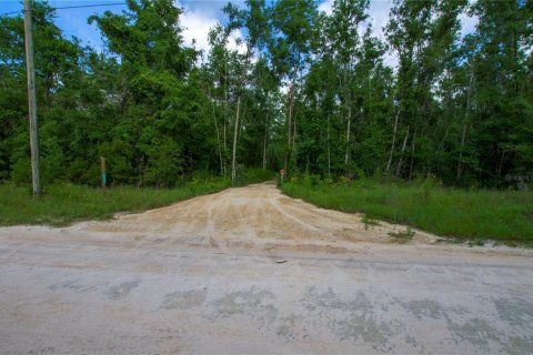 Terreno en venta en Live Oak, Florida № 2095602 - foto 11