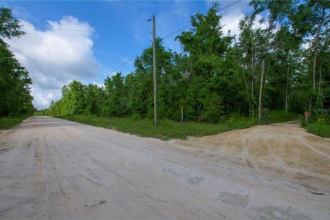 Terreno en venta en Live Oak, Florida № 2095602 - foto 10