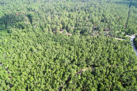 Terreno en venta en Live Oak, Florida № 2095602 - foto 5