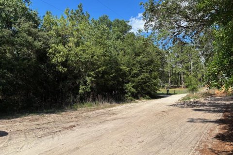 Terrain à Dunnellon, Floride № 2158960