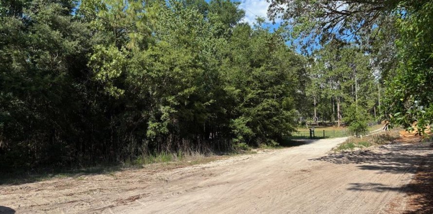 Terrain à Dunnellon, Floride № 2158960