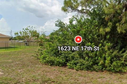 Land in Cape Coral, Florida № 2039282 - photo 4