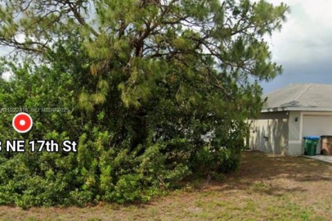 Land in Cape Coral, Florida № 2039282 - photo 3