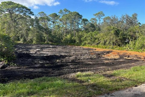 Land in Lake Placid, Florida № 2162633