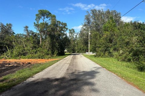 Land in Lake Placid, Florida № 2162633 - photo 2