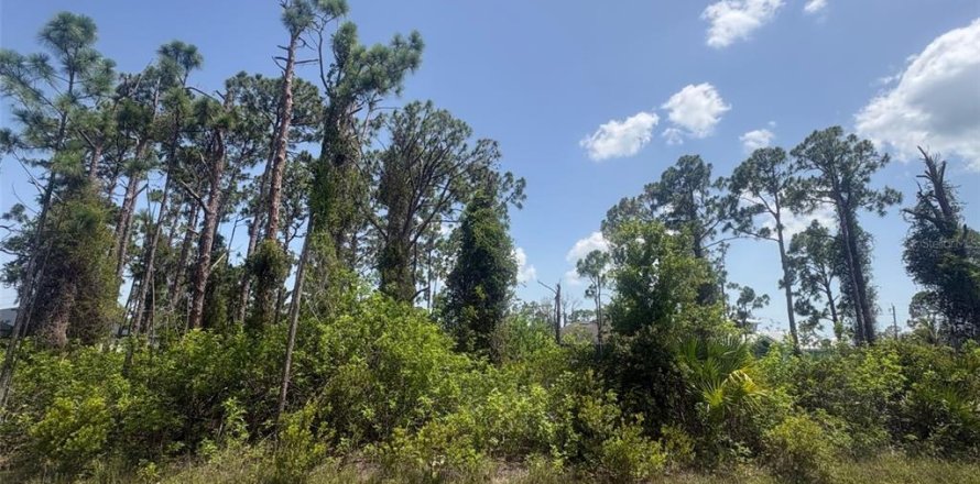 Terrain à Port Charlotte, Floride № 2227725