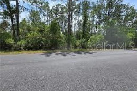 Terreno en Eustis, Florida № 2387410