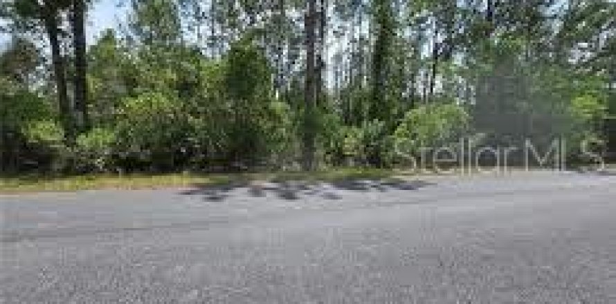 Terreno en Eustis, Florida № 2387410