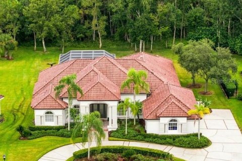 Villa ou maison à Lutz, Floride 5 chambres, 371.61 m2 № 2361053
