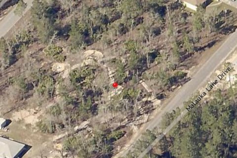 Terreno en Ocklawaha, Florida № 2238572