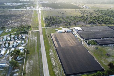 Land in Lake Placid, Florida № 2123634 - photo 19