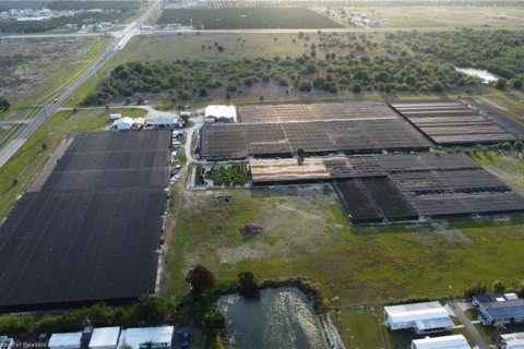 Land in Lake Placid, Florida № 2123634 - photo 18