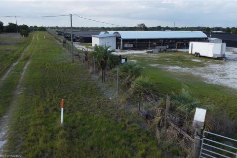 Land in Lake Placid, Florida № 2123634 - photo 6