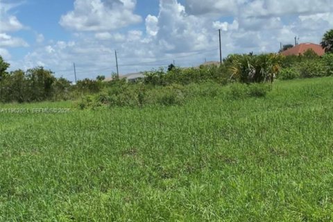 Terrain à vendre à Cape Coral, Floride № 2080892 - photo 5