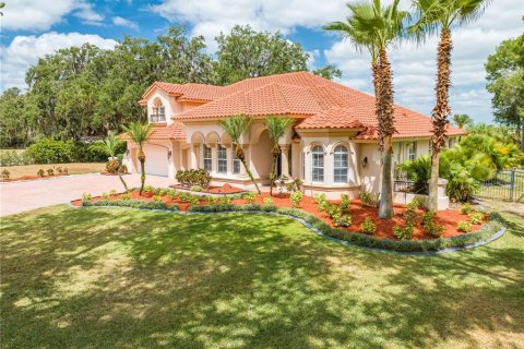 Casa en venta en Kissimmee, Florida, 5 dormitorios, 384.71 m2 № 1679827 - foto 9