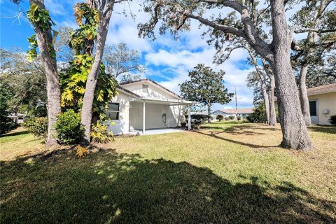 House in Port Richey, Florida 2 bedrooms, 153.29 sq.m. № 1533470 - photo 23