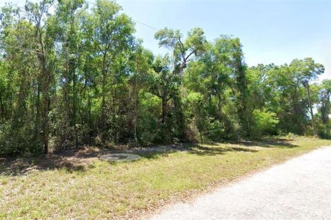 Terreno en Hernando, Florida № 2202853